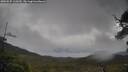 ./images/calvert/fitz-hugh-hecate/20250525/fitz-hugh-hecate20250525_110509M.jpg