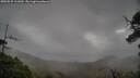 ./images/calvert/fitz-hugh-hecate/20250525/fitz-hugh-hecate20250525_111010M.jpg