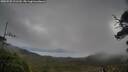 ./images/calvert/fitz-hugh-hecate/20250525/fitz-hugh-hecate20250525_111510M.jpg