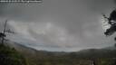 ./images/calvert/fitz-hugh-hecate/20250525/fitz-hugh-hecate20250525_112508M.jpg