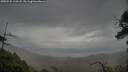 ./images/calvert/fitz-hugh-hecate/20250525/fitz-hugh-hecate20250525_113508M.jpg
