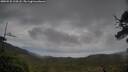 ./images/calvert/fitz-hugh-hecate/20250525/fitz-hugh-hecate20250525_114508M.jpg