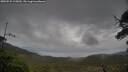 ./images/calvert/fitz-hugh-hecate/20250525/fitz-hugh-hecate20250525_115010M.jpg