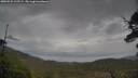 ./images/calvert/fitz-hugh-hecate/20250525/fitz-hugh-hecate20250525_115509M.jpg