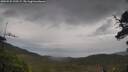 ./images/calvert/fitz-hugh-hecate/20250525/fitz-hugh-hecate20250525_120508M.jpg