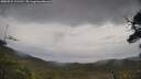 ./images/calvert/fitz-hugh-hecate/20250525/fitz-hugh-hecate20250525_121510M.jpg