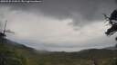 ./images/calvert/fitz-hugh-hecate/20250525/fitz-hugh-hecate20250525_122008M.jpg