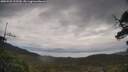 ./images/calvert/fitz-hugh-hecate/20250525/fitz-hugh-hecate20250525_123510M.jpg
