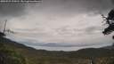 ./images/calvert/fitz-hugh-hecate/20250525/fitz-hugh-hecate20250525_124510M.jpg