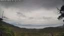 ./images/calvert/fitz-hugh-hecate/20250525/fitz-hugh-hecate20250525_125010M.jpg