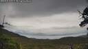 ./images/calvert/fitz-hugh-hecate/20250525/fitz-hugh-hecate20250525_125509M.jpg