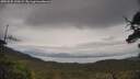 ./images/calvert/fitz-hugh-hecate/20250525/fitz-hugh-hecate20250525_130509M.jpg