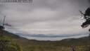 ./images/calvert/fitz-hugh-hecate/20250525/fitz-hugh-hecate20250525_131509M.jpg