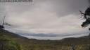 ./images/calvert/fitz-hugh-hecate/20250525/fitz-hugh-hecate20250525_132008M.jpg