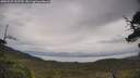 ./images/calvert/fitz-hugh-hecate/20250525/fitz-hugh-hecate20250525_132509M.jpg