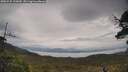 ./images/calvert/fitz-hugh-hecate/20250525/fitz-hugh-hecate20250525_133009M.jpg
