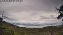 ./images/calvert/fitz-hugh-hecate/20250525/fitz-hugh-hecate20250525_133507M.jpg