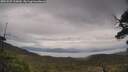 ./images/calvert/fitz-hugh-hecate/20250525/fitz-hugh-hecate20250525_134010M.jpg