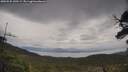 ./images/calvert/fitz-hugh-hecate/20250525/fitz-hugh-hecate20250525_140509M.jpg