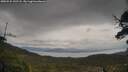 ./images/calvert/fitz-hugh-hecate/20250525/fitz-hugh-hecate20250525_142508M.jpg