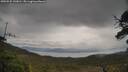 ./images/calvert/fitz-hugh-hecate/20250525/fitz-hugh-hecate20250525_143010M.jpg