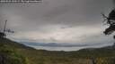 ./images/calvert/fitz-hugh-hecate/20250525/fitz-hugh-hecate20250525_143509M.jpg
