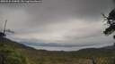 ./images/calvert/fitz-hugh-hecate/20250525/fitz-hugh-hecate20250525_144010M.jpg