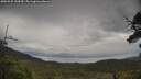 ./images/calvert/fitz-hugh-hecate/20250525/fitz-hugh-hecate20250525_144510M.jpg