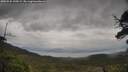 ./images/calvert/fitz-hugh-hecate/20250525/fitz-hugh-hecate20250525_145009M.jpg