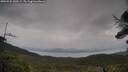 ./images/calvert/fitz-hugh-hecate/20250525/fitz-hugh-hecate20250525_150509M.jpg
