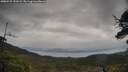 ./images/calvert/fitz-hugh-hecate/20250525/fitz-hugh-hecate20250525_151009M.jpg