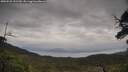 ./images/calvert/fitz-hugh-hecate/20250525/fitz-hugh-hecate20250525_151510M.jpg