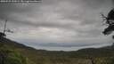 ./images/calvert/fitz-hugh-hecate/20250525/fitz-hugh-hecate20250525_152009M.jpg