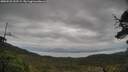 ./images/calvert/fitz-hugh-hecate/20250525/fitz-hugh-hecate20250525_152509M.jpg