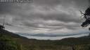 ./images/calvert/fitz-hugh-hecate/20250525/fitz-hugh-hecate20250525_153509M.jpg