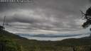 ./images/calvert/fitz-hugh-hecate/20250525/fitz-hugh-hecate20250525_154008M.jpg