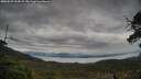 ./images/calvert/fitz-hugh-hecate/20250525/fitz-hugh-hecate20250525_154507M.jpg