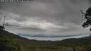 ./images/calvert/fitz-hugh-hecate/20250525/fitz-hugh-hecate20250525_155008M.jpg