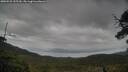 ./images/calvert/fitz-hugh-hecate/20250525/fitz-hugh-hecate20250525_155509M.jpg