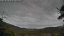 ./images/calvert/fitz-hugh-hecate/20250525/fitz-hugh-hecate20250525_160010M.jpg