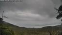 ./images/calvert/fitz-hugh-hecate/20250525/fitz-hugh-hecate20250525_160509M.jpg