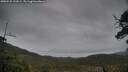 ./images/calvert/fitz-hugh-hecate/20250525/fitz-hugh-hecate20250525_161009M.jpg