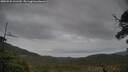 ./images/calvert/fitz-hugh-hecate/20250525/fitz-hugh-hecate20250525_161510M.jpg