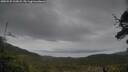 ./images/calvert/fitz-hugh-hecate/20250525/fitz-hugh-hecate20250525_162008M.jpg