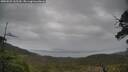 ./images/calvert/fitz-hugh-hecate/20250525/fitz-hugh-hecate20250525_162510M.jpg