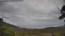 ./images/calvert/fitz-hugh-hecate/20250525/fitz-hugh-hecate20250525_163010M.jpg