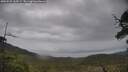 ./images/calvert/fitz-hugh-hecate/20250525/fitz-hugh-hecate20250525_163509M.jpg