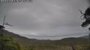 ./images/calvert/fitz-hugh-hecate/20250525/fitz-hugh-hecate20250525_164008M.jpg