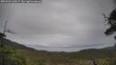 ./images/calvert/fitz-hugh-hecate/20250525/fitz-hugh-hecate20250525_164509M.jpg