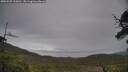 ./images/calvert/fitz-hugh-hecate/20250525/fitz-hugh-hecate20250525_165010M.jpg